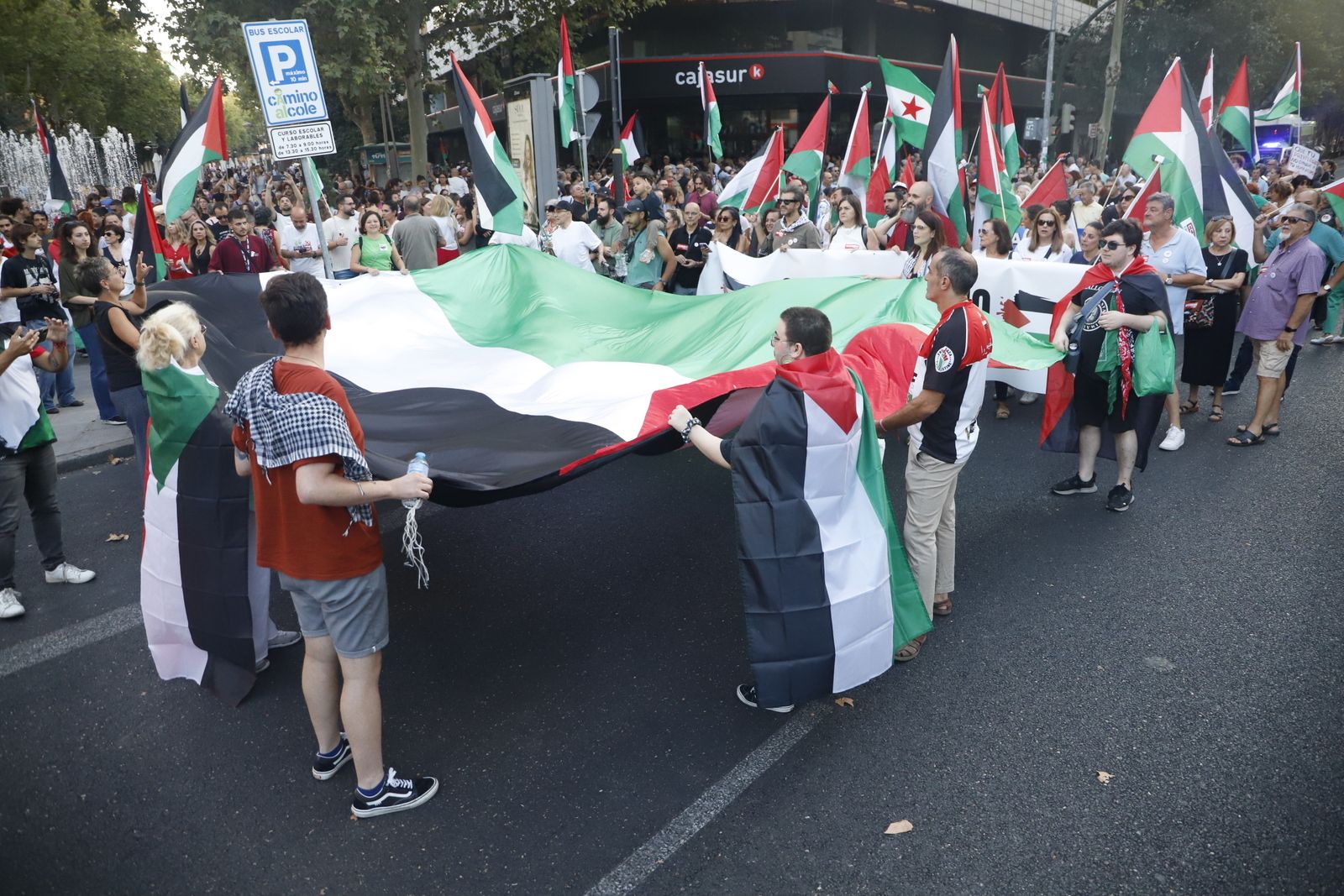 La manifestación por Palestina, en imágenes