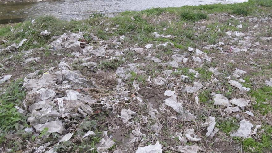 Plásticos, papeles y envases son algunos de los residuos que invaden las inmediaciones del cauce del río Vinalopó.