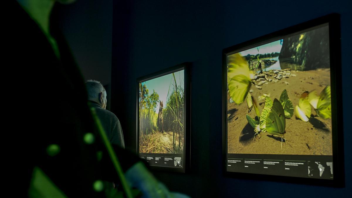 Los colores del mundo en Cosmocaixa