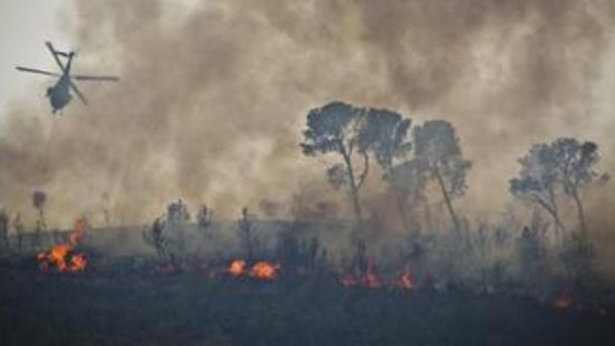 jsaurivalencia 2 7 12 sociedad incendios forestales en v120702171806