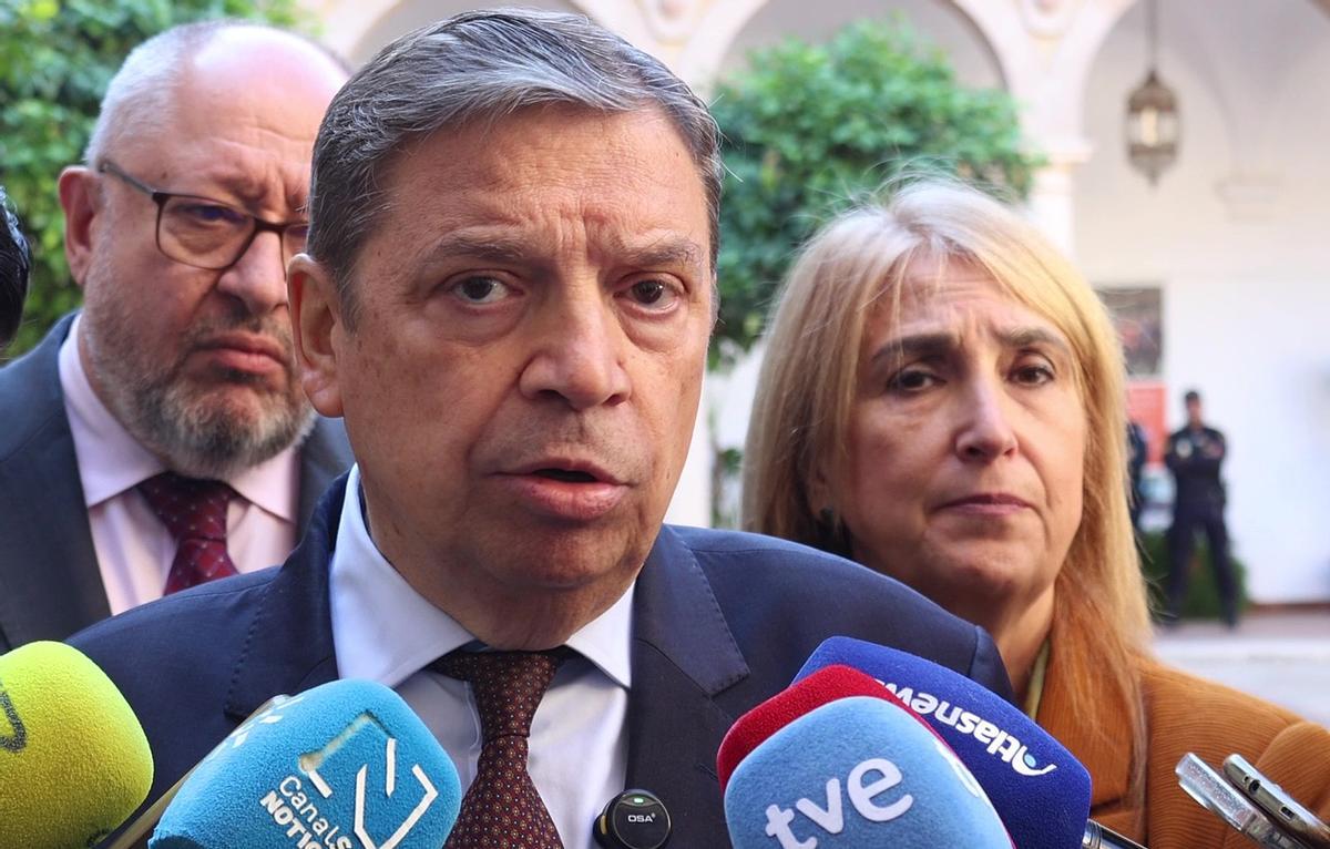 El ministro Luis Planas, en declaraciones a la prensa.