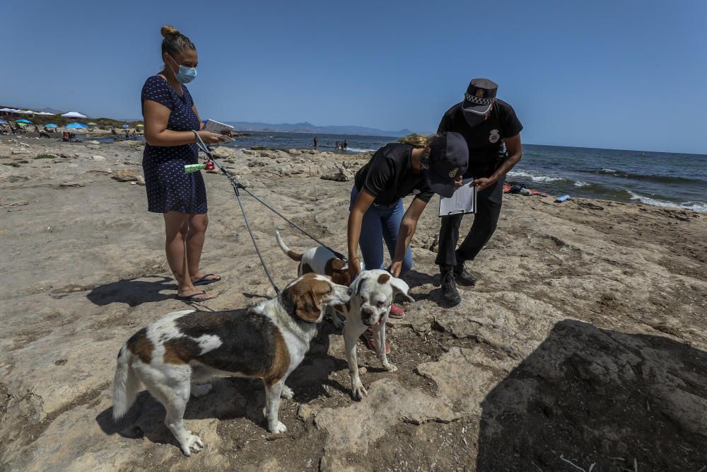 Chiringuito y cala de perros de Santa Pola