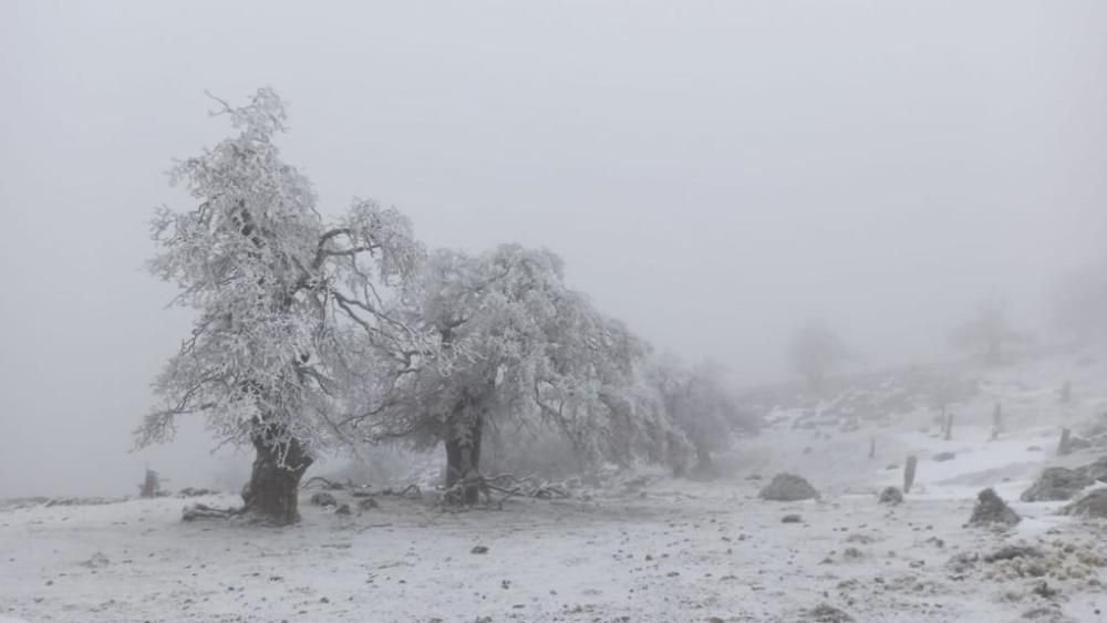 La Sierra de las Nieves