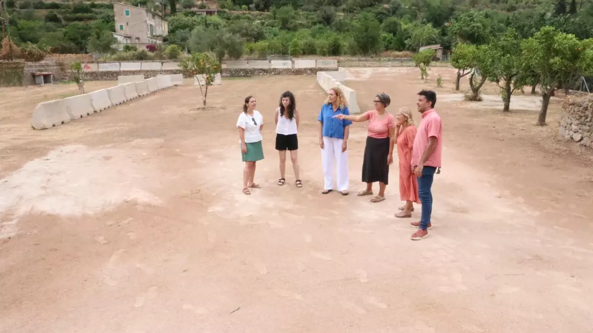 Arrasan un campo de naranjos en la entrada de Biniaraix para construir un parking