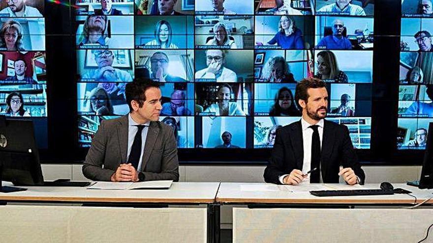 Javier Maroto, Teodoro García Egea, Pablo Casado y Cayetana Álvarez de Toledo, ayer en la reunión telemática de los grupos parlamentarios del PP.