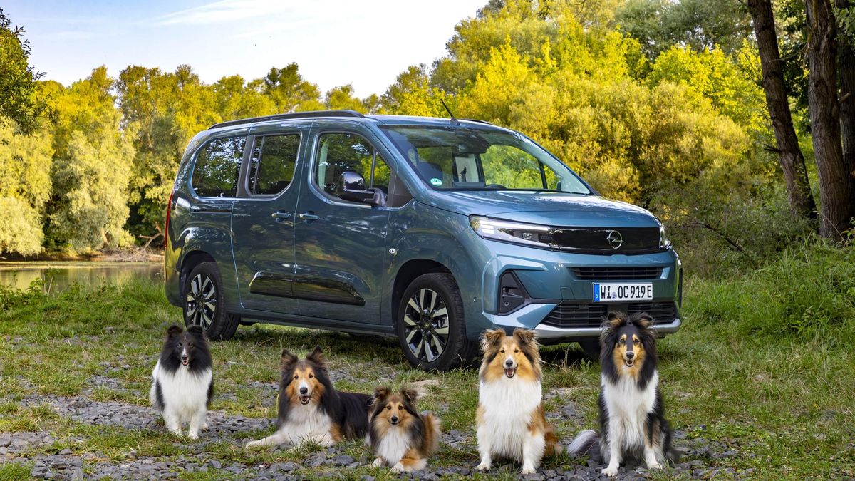 Opel Combo Electric: Ideal para viajar con tu mascota