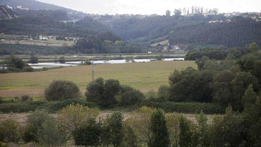 Zona de El Sablón, reposo habitual de aves migratorias.