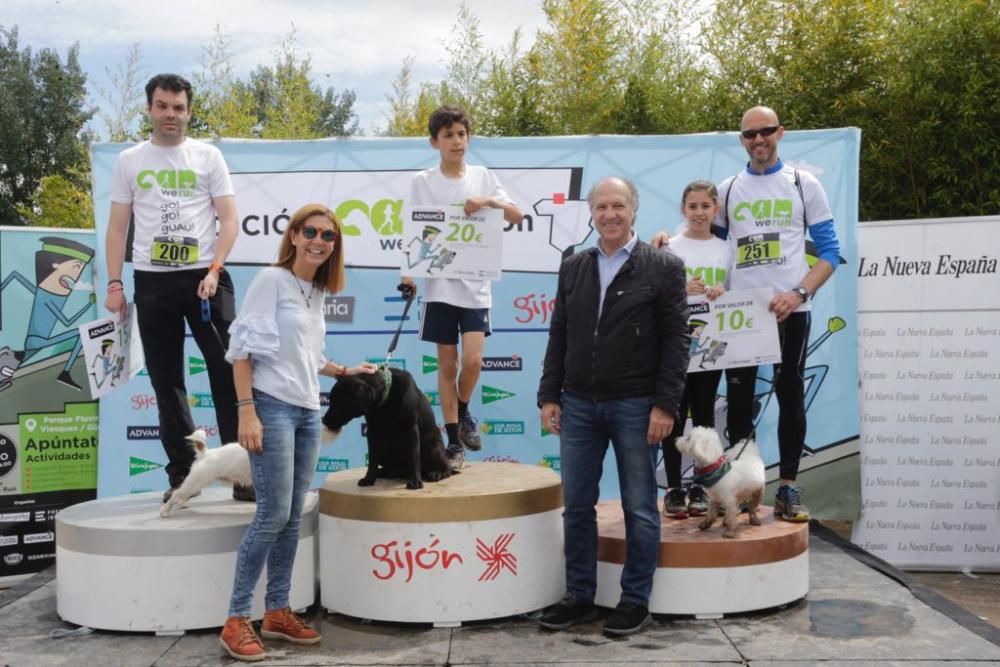 "Can We Run": Deporte, perros y solidaridad toman Gijón