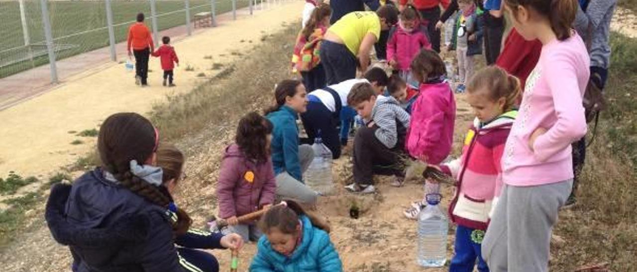 EL COLEGIO PÚBLICO LA PAZ DE TORRELLANO hizo honor a su nombre en esta fecha con una actividad que significa vida: plantar un árbol. De esta forma, además, se conmemoró esta otra fecha de carácter medioambiental.