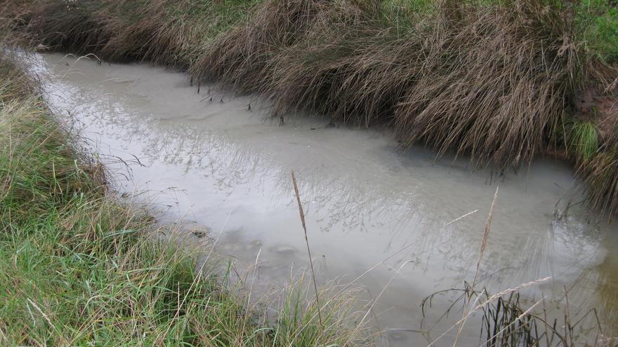 La Fiscalía investigará los vertidos continuados a la ría de Villaviciosa