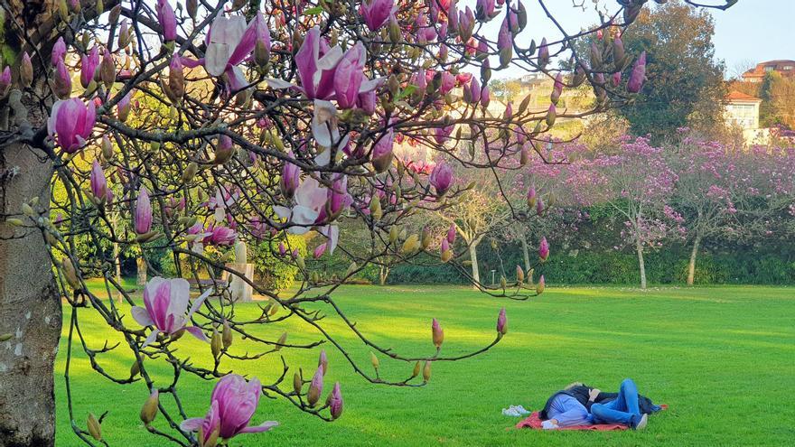 El mayor espectáculo del invierno florece en Castrelos