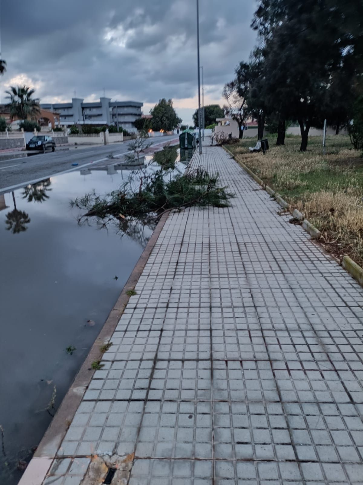 Destrozos por un tornado en la Playa de les Deveses en Dénia