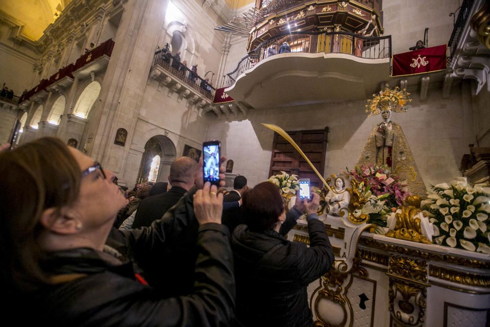 Procesión de las aleluyas en Elche