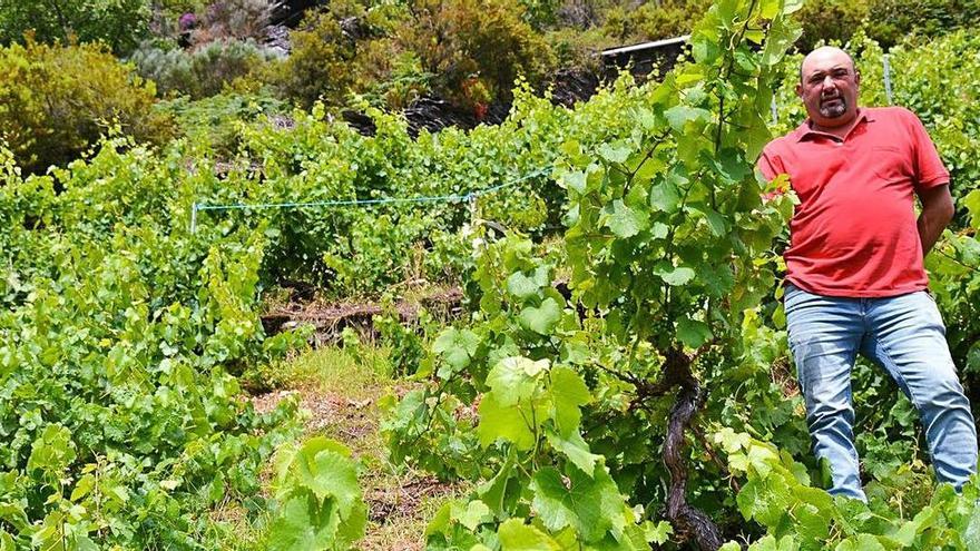 Pesoz busca hueco en la bodega