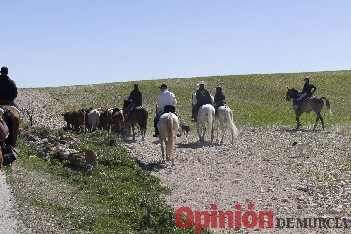 trashumancia/Ganadería La Junquera_014