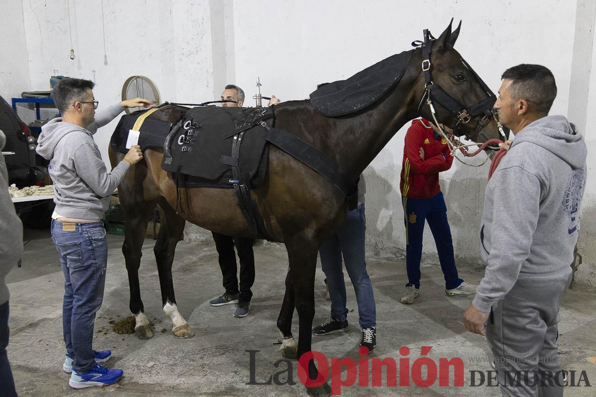 Caballos del vino/Vestir a un caballo_017