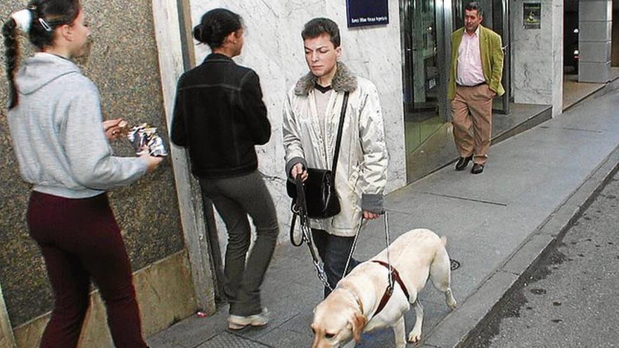 Los perros guía de la ONCE cumplen cinco lustros en Extremadura