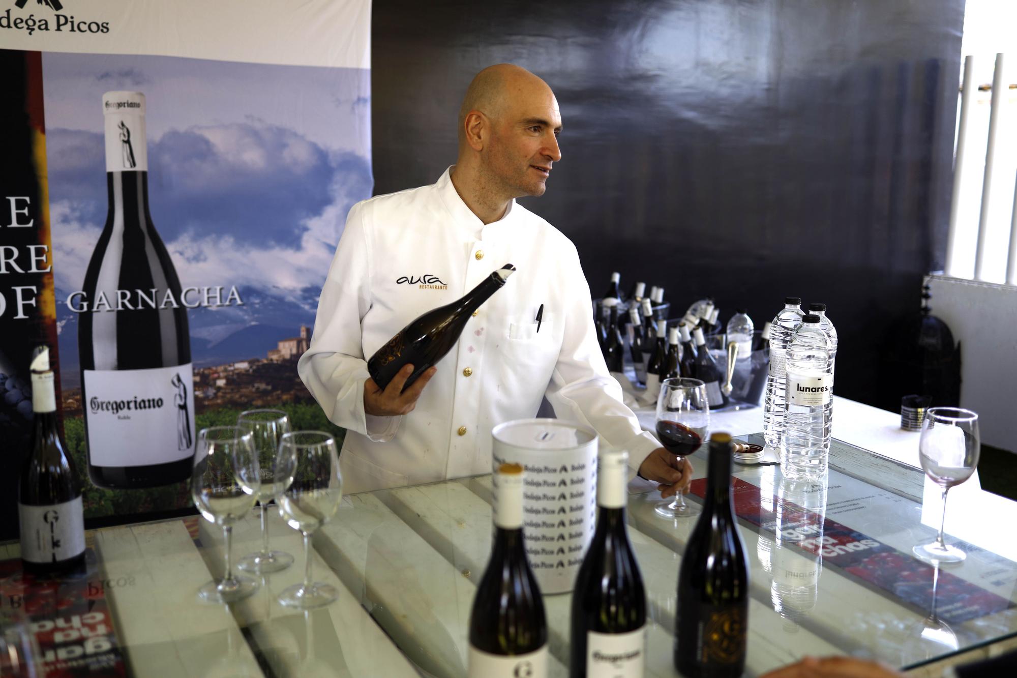 Muestra de garnachas de la DO Campo de Borja