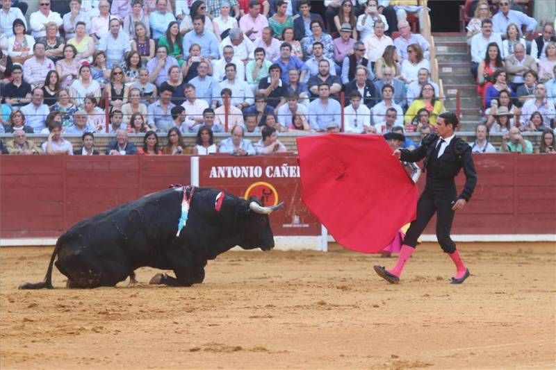 FOTOGALERÍA / FERIA EN LOS CALIFAS