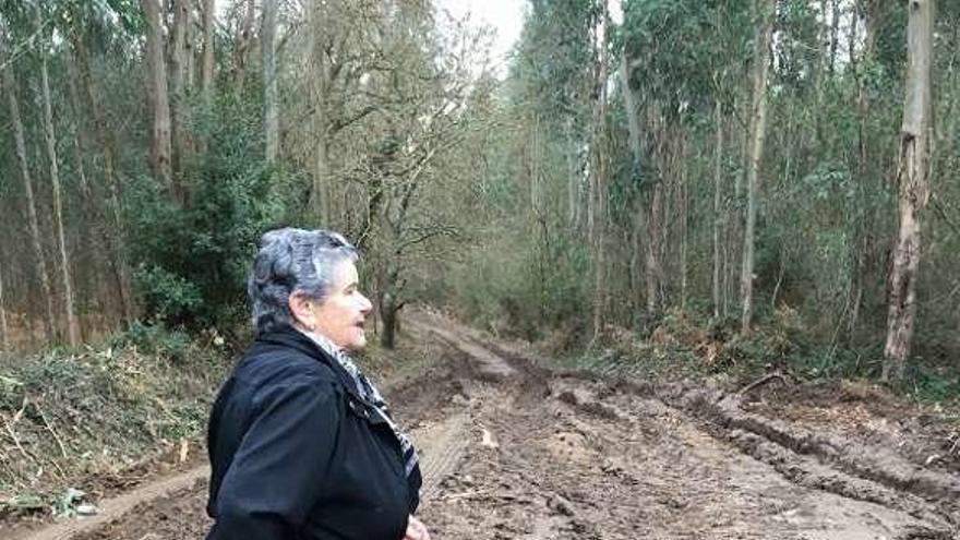 Una vecina en la carretera que comunica con el pueblo y en una pista de acceso.