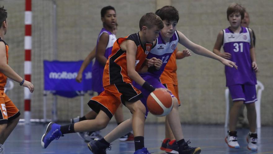 El baloncesto no para en Picanya