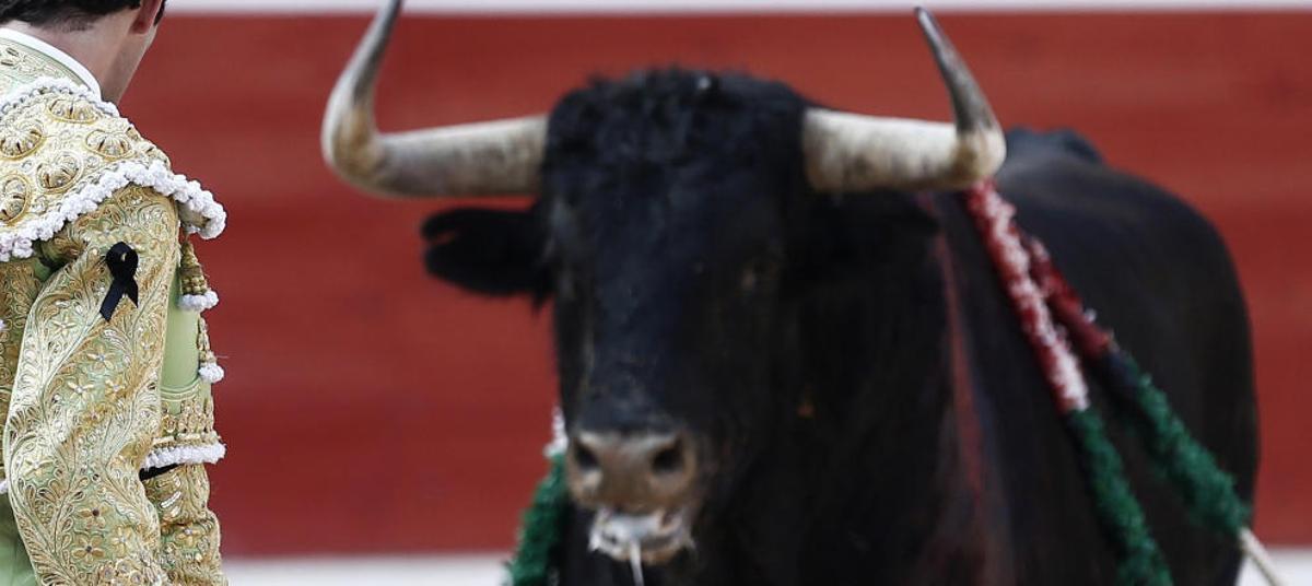 La tradición obliga a matar a la familia del toro.