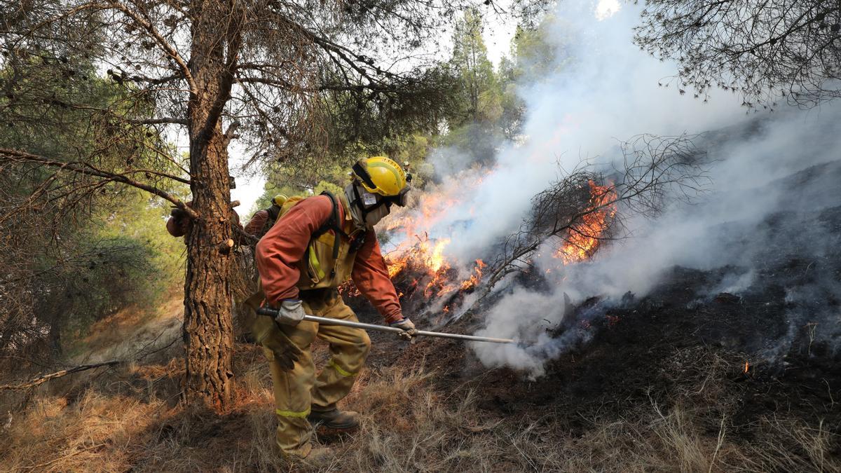 Como consecuencia del este año seco y cálido, este verano ha habido grandes incendios como el de Añón del Moncayo.