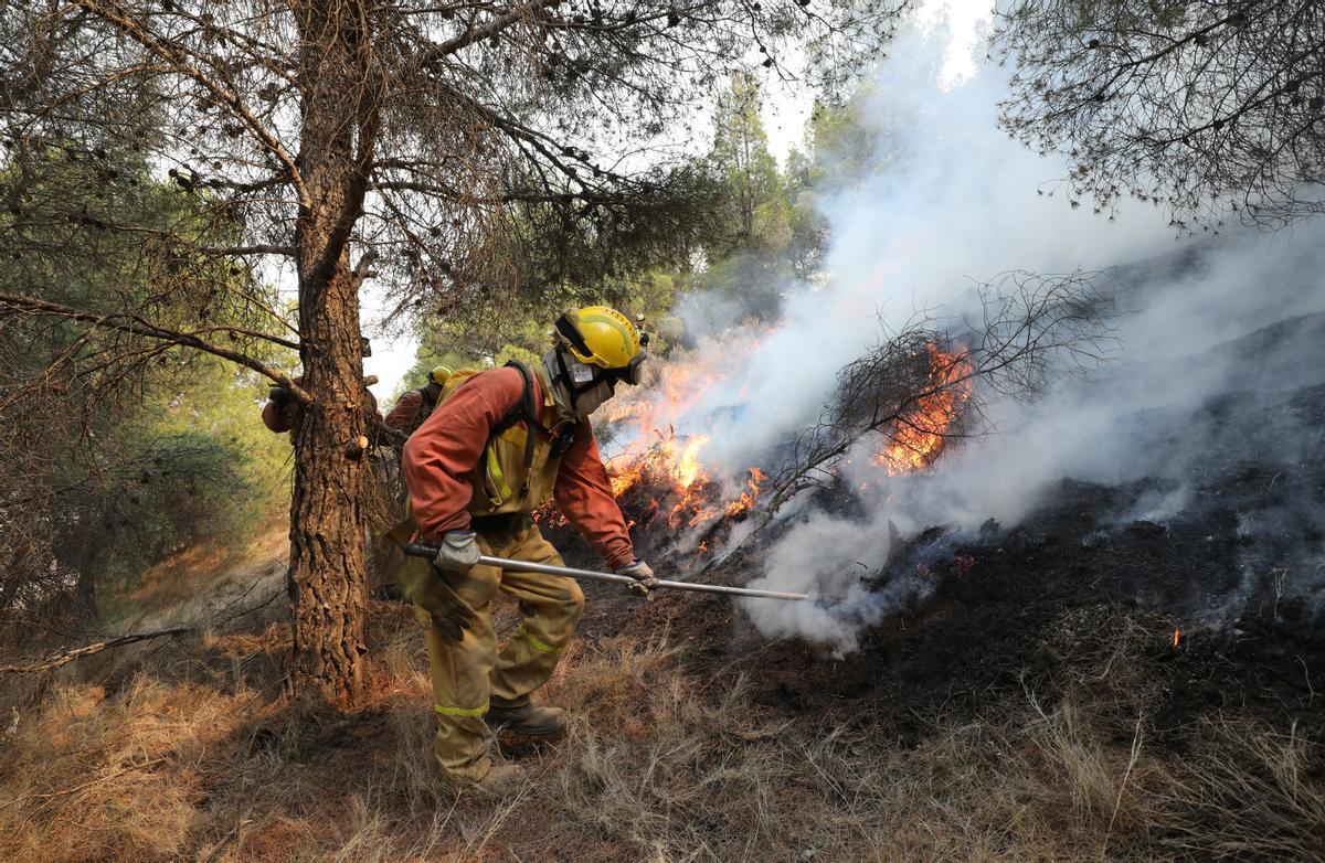 Como consecuencia del este año seco y cálido, este verano ha habido grandes incendios como el de Añón del Moncayo.