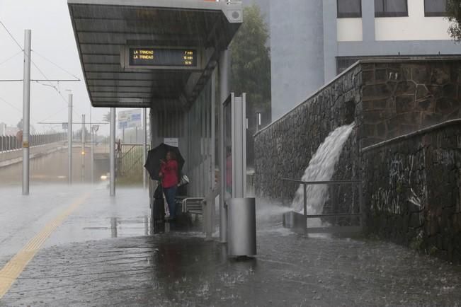 Delia Padrón lluvias , temporal , barrancos ...