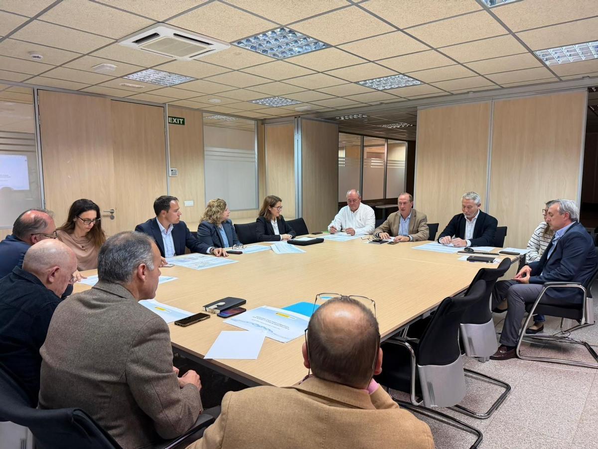 Una imagen de la reunión entre Govern y los dos ayuntamientos, este viernes en Palma.