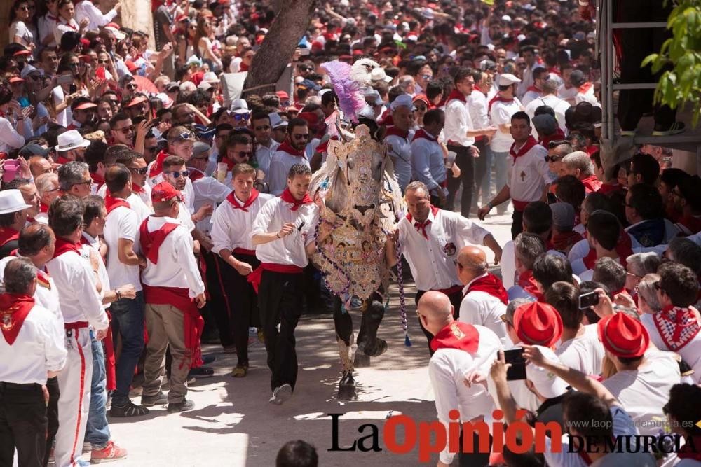 Carrera de los Caballos del Vino