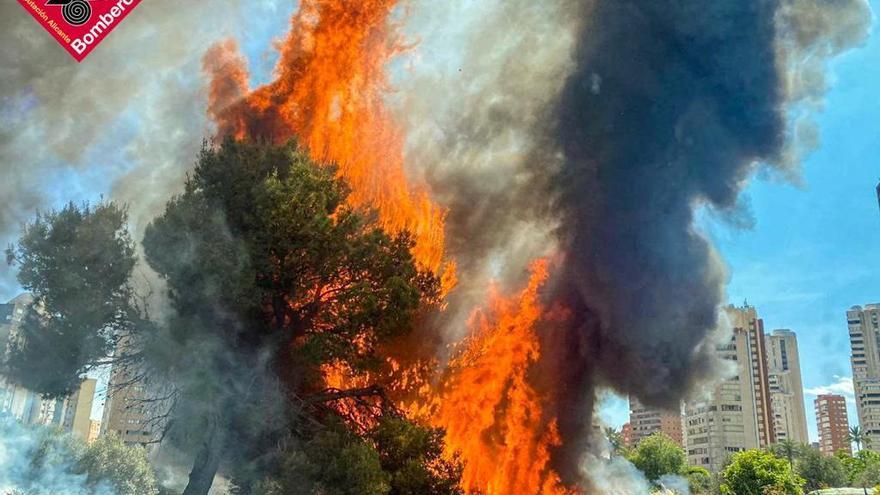 Un incendio en unos solares de Benidorm calcina colchones, basura y diversos enseres