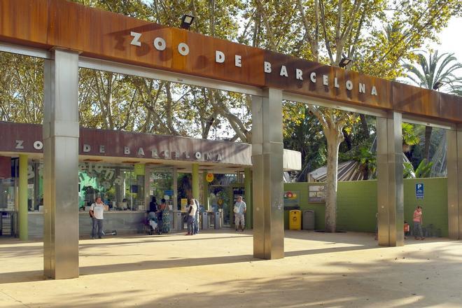 Entrada gratis al Zoo de Barcelona para quien cuide a nietos, ahijados o sobrinos los dos días sin cole antes Navidad