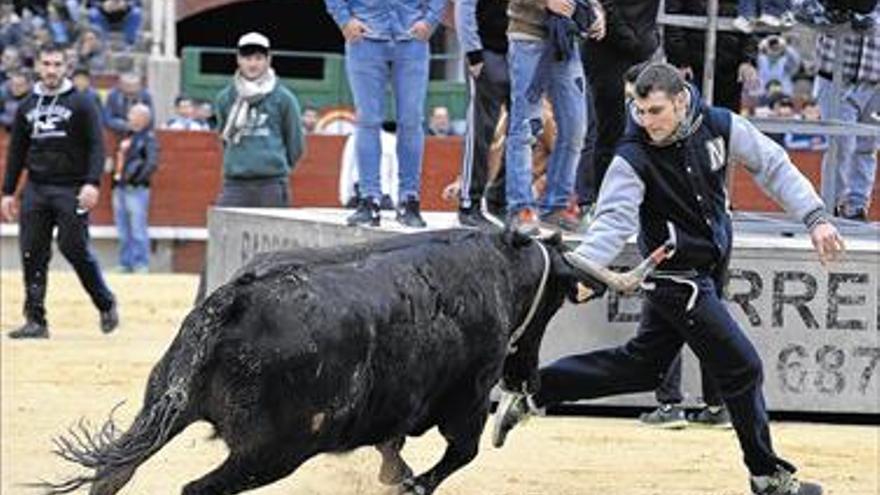 Los aficionados disfrutan de las ‘vacas magdaleneras’ pese al frío