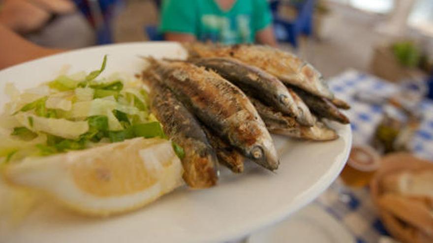 Las sardinas son una fuente de energía