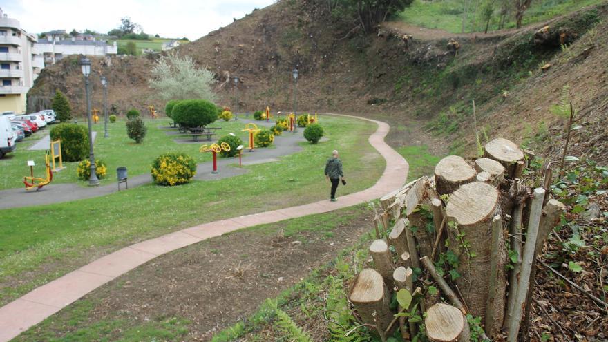 Navia se protege de los incendios con trabajos por valor de 149.000 euros