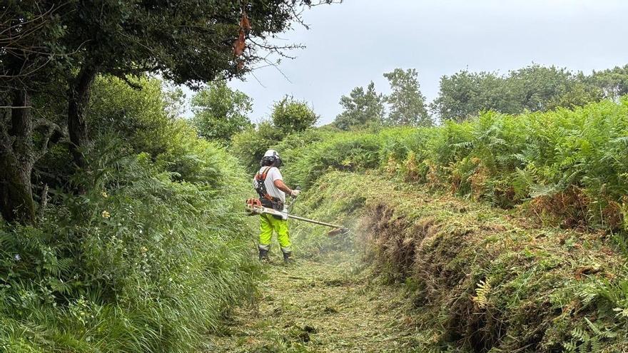 emoran el encargo a Medio Rural de los desbroces preventivos