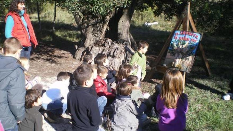 El Parc Vial i Mediambiental recibe 3.264 visitas, el 60% de fuera de la Vall d&#039;Albaida