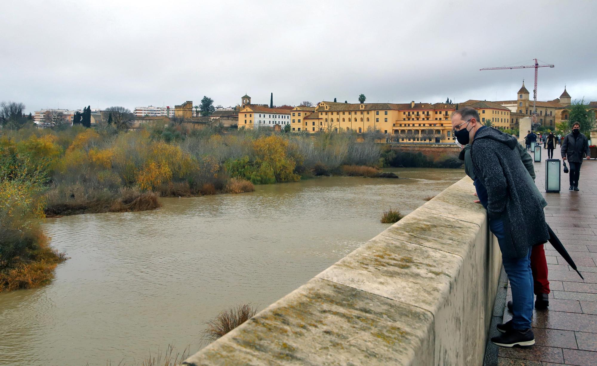 La vegetación no deja ver el río Guadalquivir