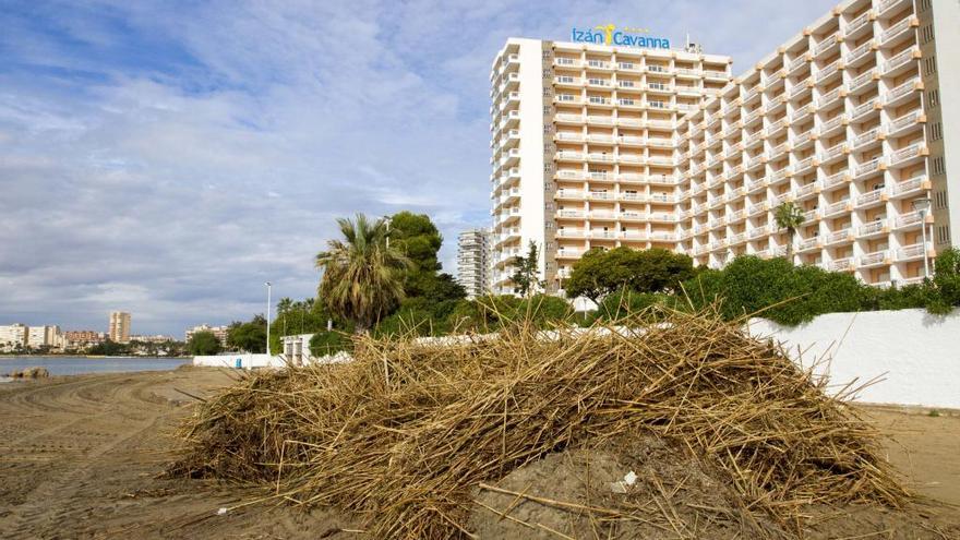 Las cañas han llegado a las playas de La Manga tras ser arrastradas por la lluvia desde la rambla de El Albujón.