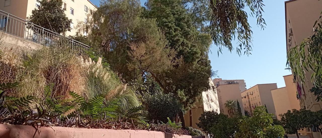 Un rincón de Las Flores, con abundancia de plantas.