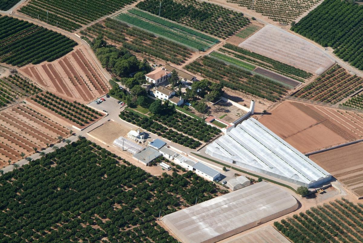 Imagen aérea del campo de experiencia de Museros de Anecoop.