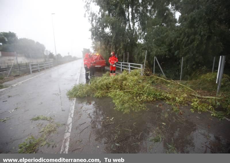 GALERÍA DE FOTOS -- Efectos de las tormentas en la provincia