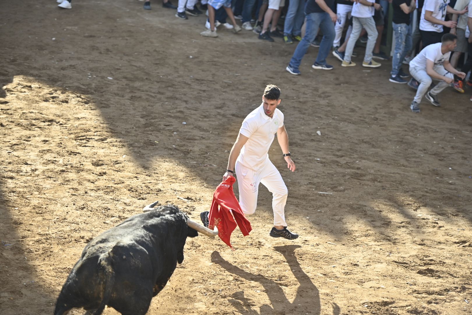 Galería | Primera tarde de toros en Almassora