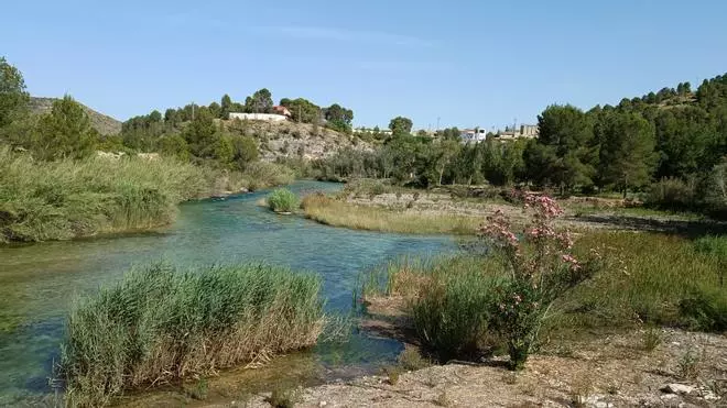 La ola de calor dispara los termómetros en el cálido microclima de la Vall de Càrcer