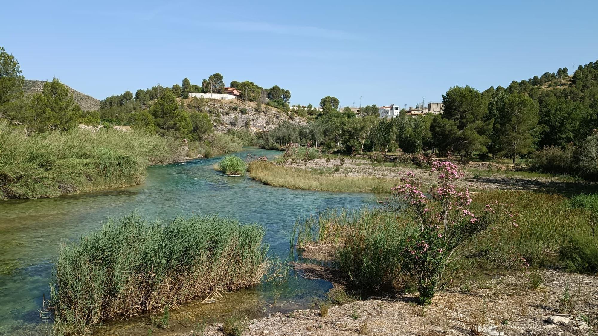 Vista reciente del paraje de la Illa de l'Esgoletja en Sumacàrcer, punto de refresco durante el verano.