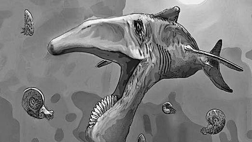 Un peix de fa 300 milions d&#039;anys, l&#039;avantpassat del tauró fantasma