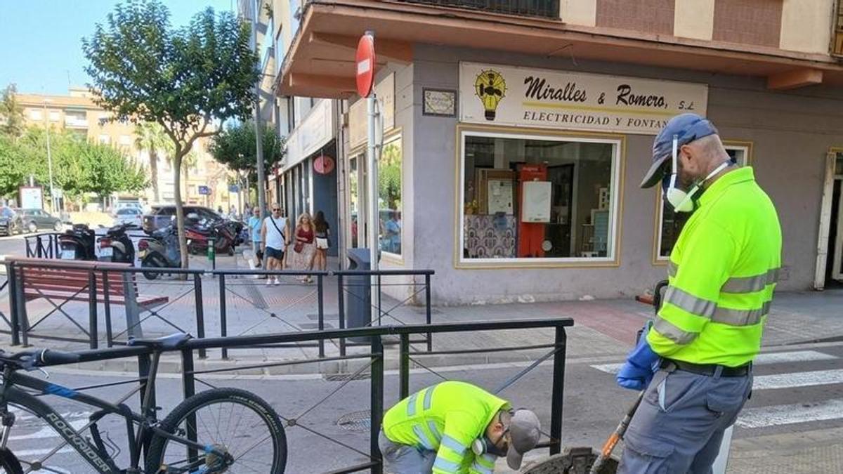 Operarios aplican tratamientos insecticidas en la red de alcantarillado de Vinaròs dentro de la campaña municipal de desinsectación reforzada para frenar la proliferación de cucarachas durante los meses de verano.