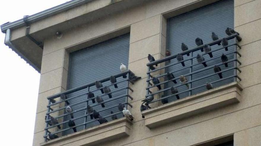 Un grupo de individuos descansando en un edificio de la Rúa Xeral.  // Bernabé/Javier Lalín