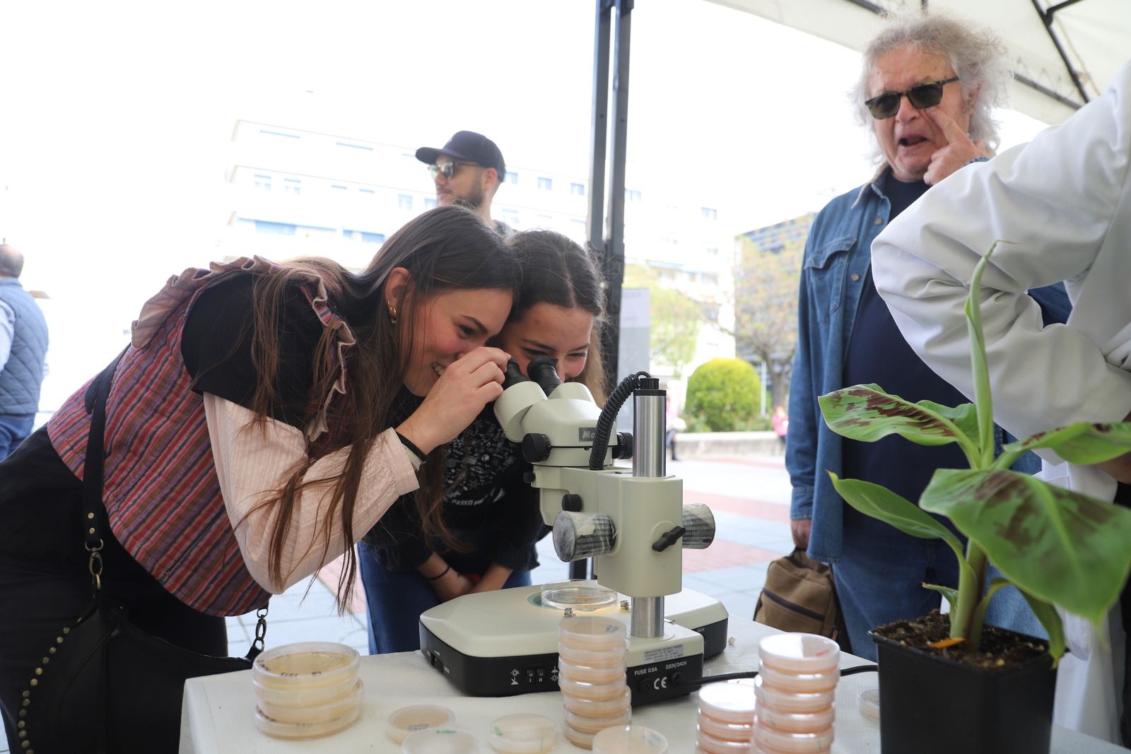 Córdoba se da un "Paseo por la ciencia"